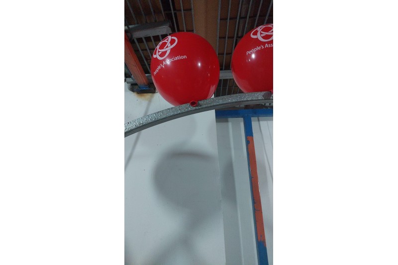 Balloon Printing 